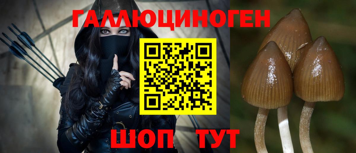 Саянск  Псилоцибиновые грибы Magic Shrooms  Вход с VPN  Галлюциногенные грибы Cubensis 